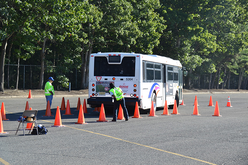 Lassoing The Competition 1